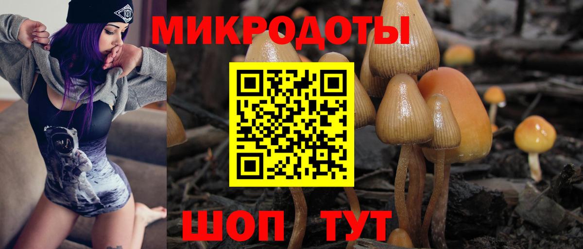 Псилоцибиновые грибы Cubensis  Вход с VPN  Черняховск  Галлюциногенные грибы мицелий 